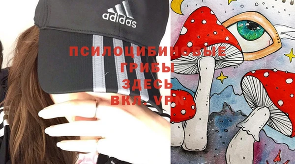 спайс Баксан