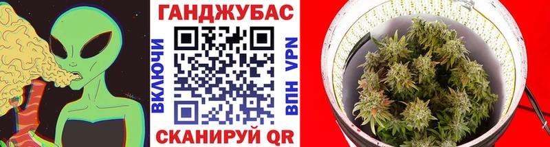 blacksprut рабочий сайт  Шацк  Каннабис семена 